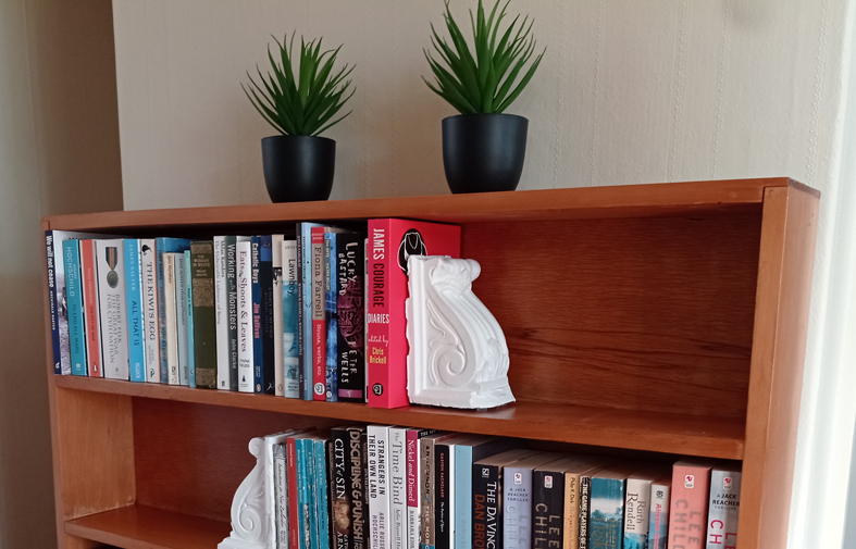 fullbookcaseblogjpg.jpg